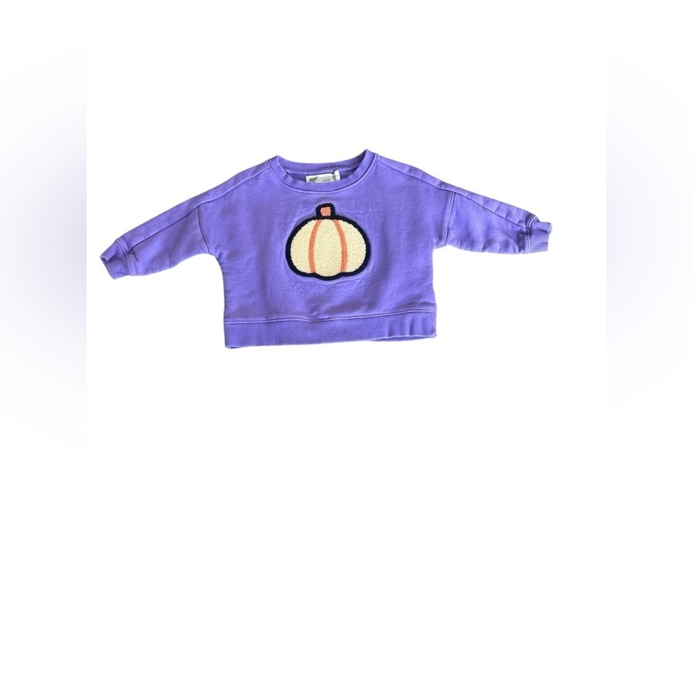 Monica + Andy Purple Sweatshirt with Pumpkin Patch size 12-18m